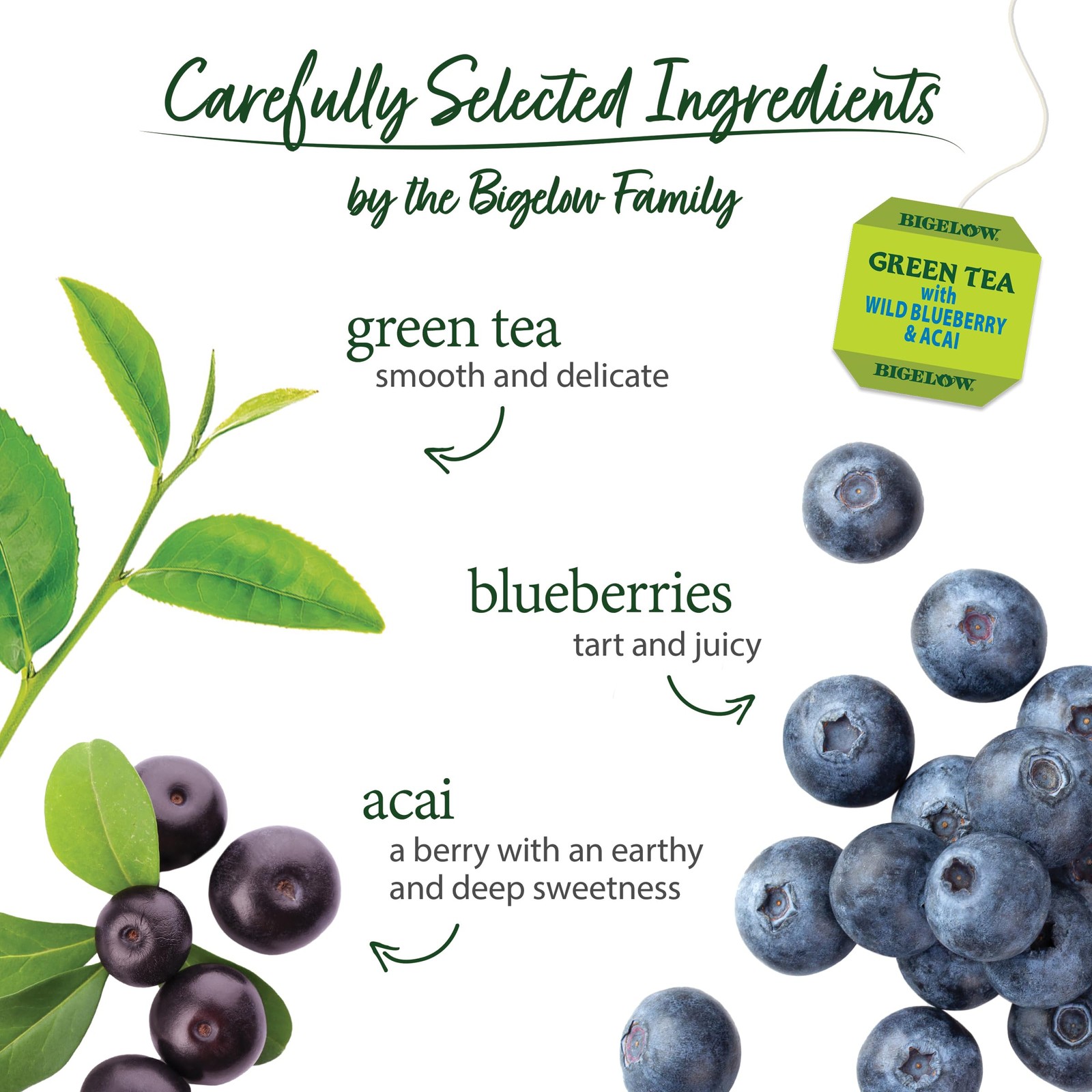 Green Tea Wild Blueberry Acai Caffeinated 20 Count Box Pack of 6 120 Bags