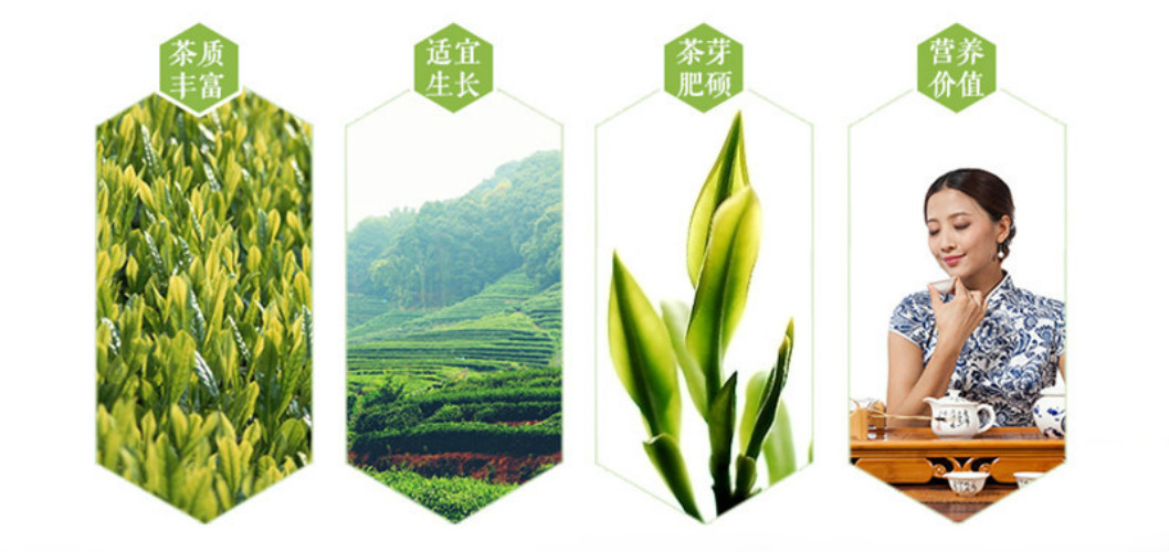 Top Grade 100% JASMINE DRAGON PEARLS TEA 250g Organic Jasmine Flower Green tea