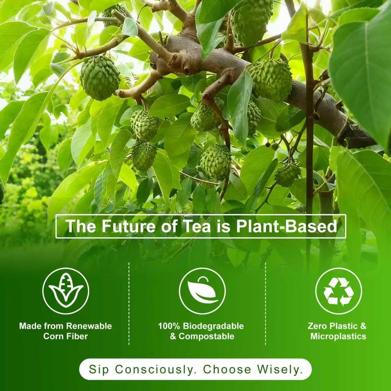 Soursop Leaves Tea 2g x 60 Teabags | 100% Natural Graviola 60