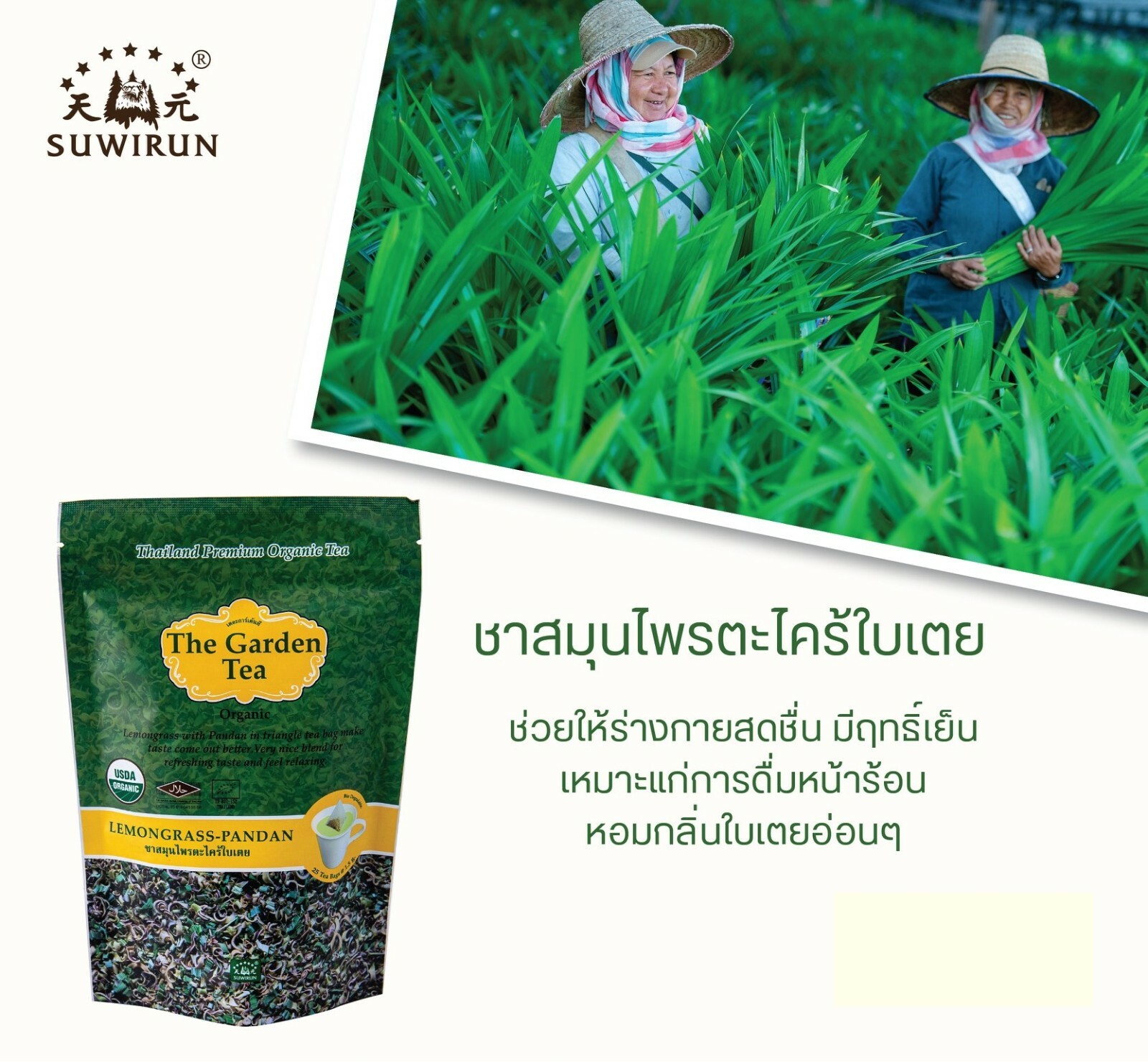 Organic Non Caffeine Herbal Tea Set Butterfly Pea Rosella Pandan Triangle Bag