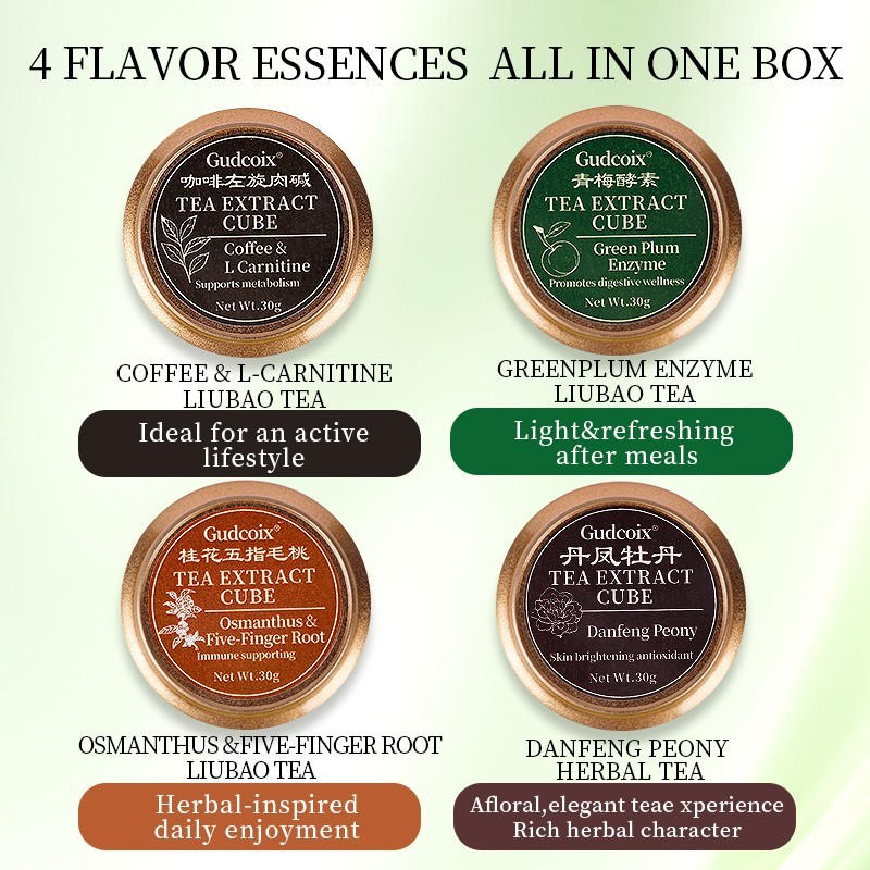 Herbal Tea Extract Cube Gift Set 4 Flavors Concentrated Tea Cubes Premium Box