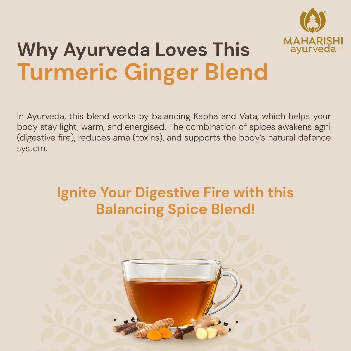 Maharishi Ayurveda All Natural Turmeric Ginger Herbal Tea, 20 Tea Bag