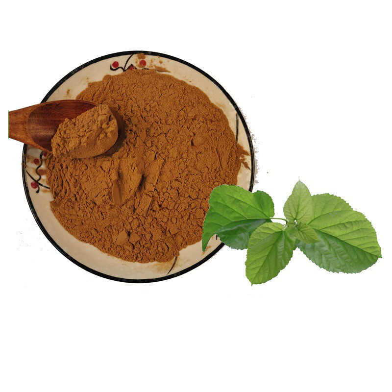 100g-500g Mulberry leaf Extract 30:1 Powder Folium Mori Morus Alba Leaf Extract