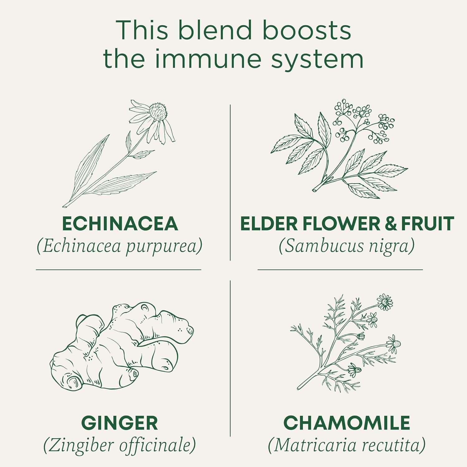 Traditional Medicinals Tea, Organic Echinacea Plus Elderberry, Boosts the Immune