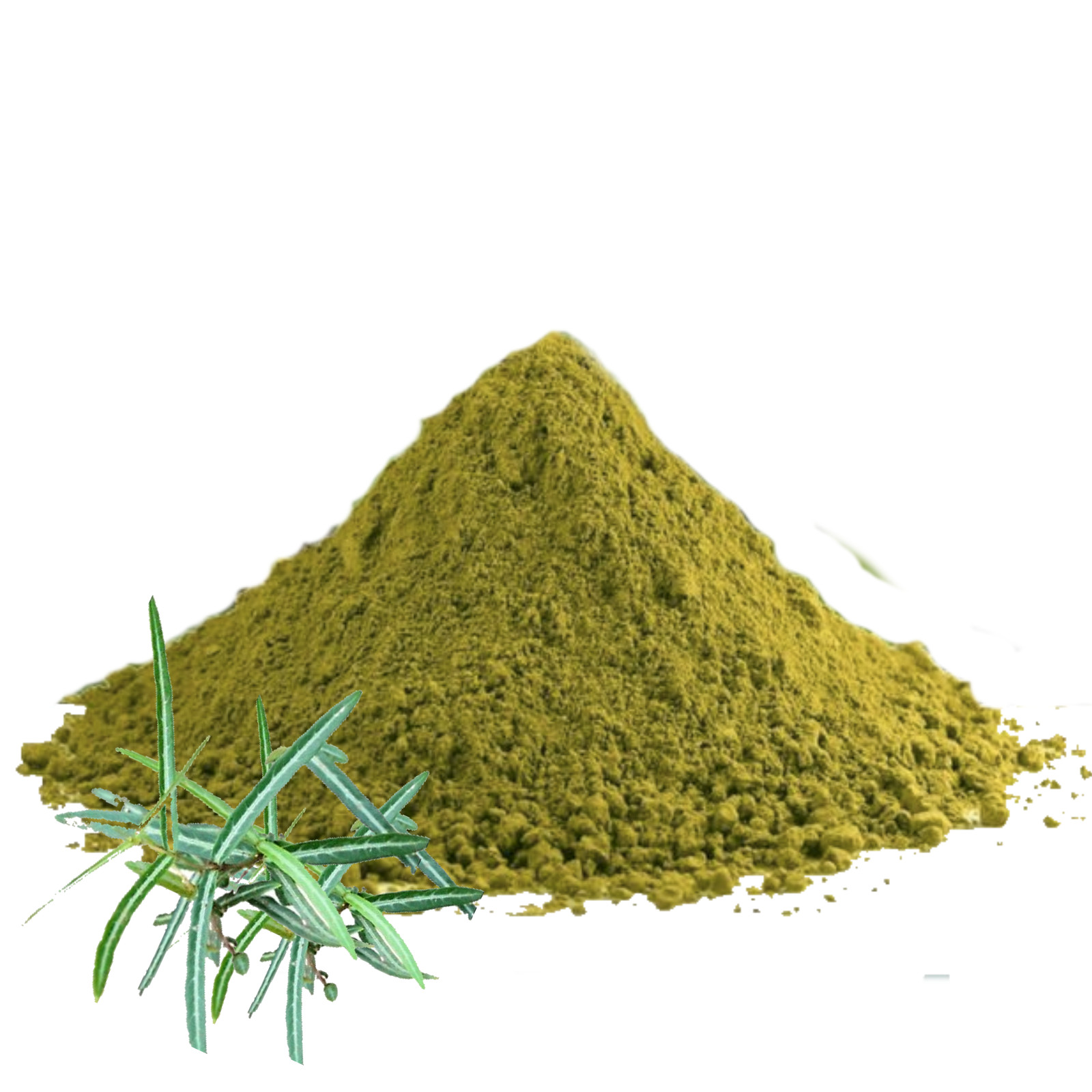 Sarsaparilla Leaf Powder | Organic Hemidesmus indicus | 100% Natural Herbal Tea