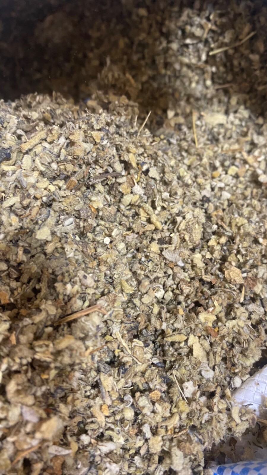 Mullein Leaf Herb – organic medicinal healing lung cut botanical – 3/4 LB Pound