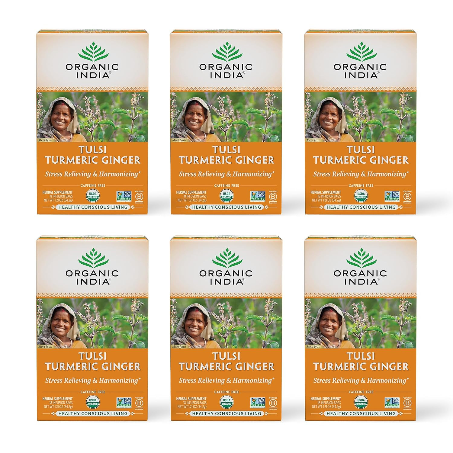 Organic India Tulsi Turmeric Ginger Herbal Tea Caffeine Free 18 Bags, 6 Pack