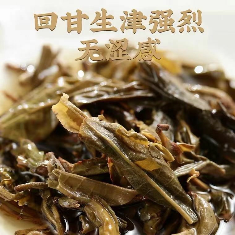1999 Yunnan Song Pin Hao Yiwu Mountain Old Tree Puerh Tea Raw Pu’er Tea 400g