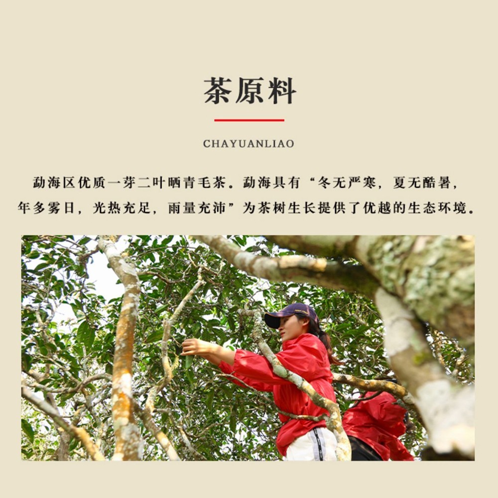 Keyixing Jie Yi Kou 2020 Raw Pu-Erh Tea Cake 357g