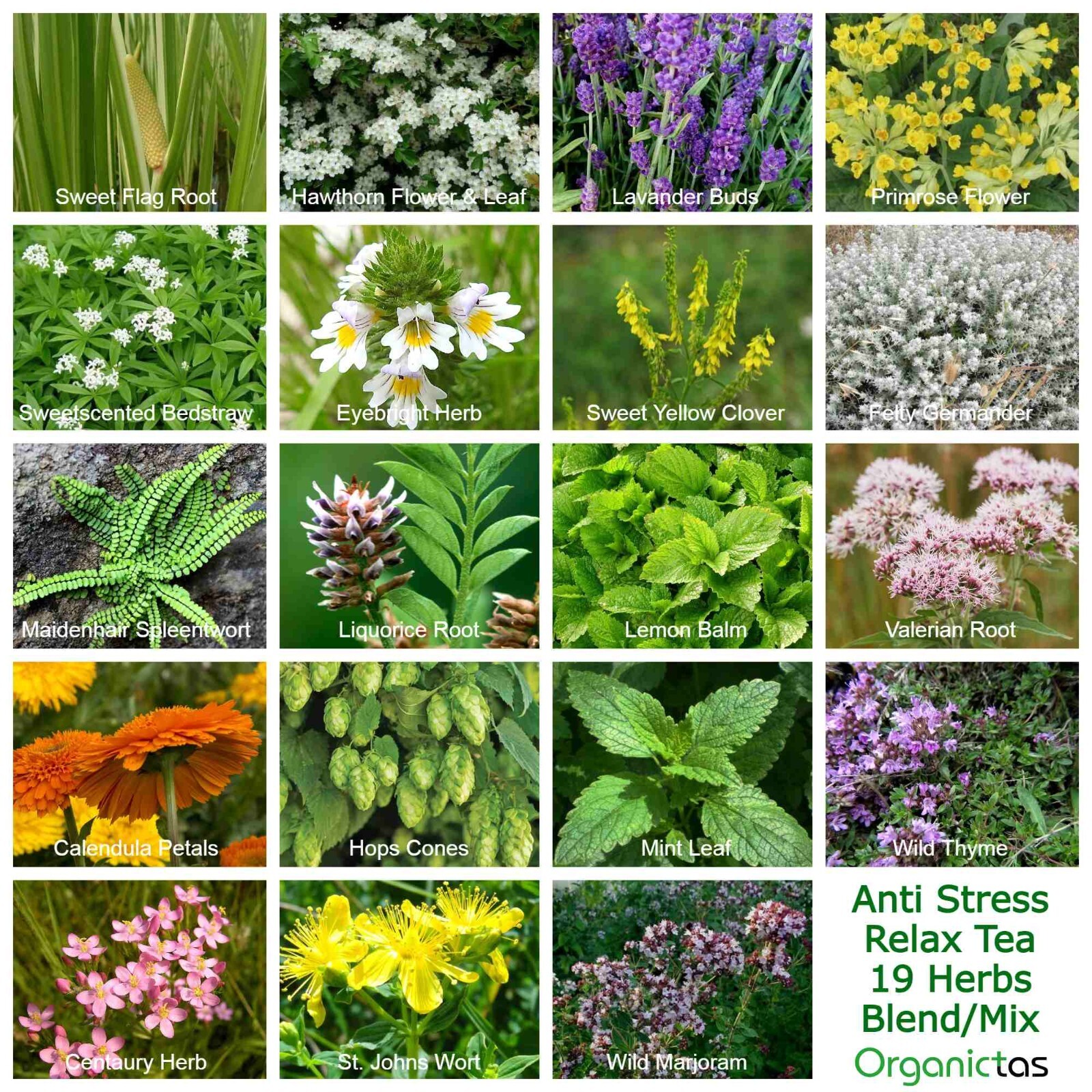 CALM & SLEEP TEA 19 Herbs Anti Stress Formula Best Relaxing & Calming Tea Blend