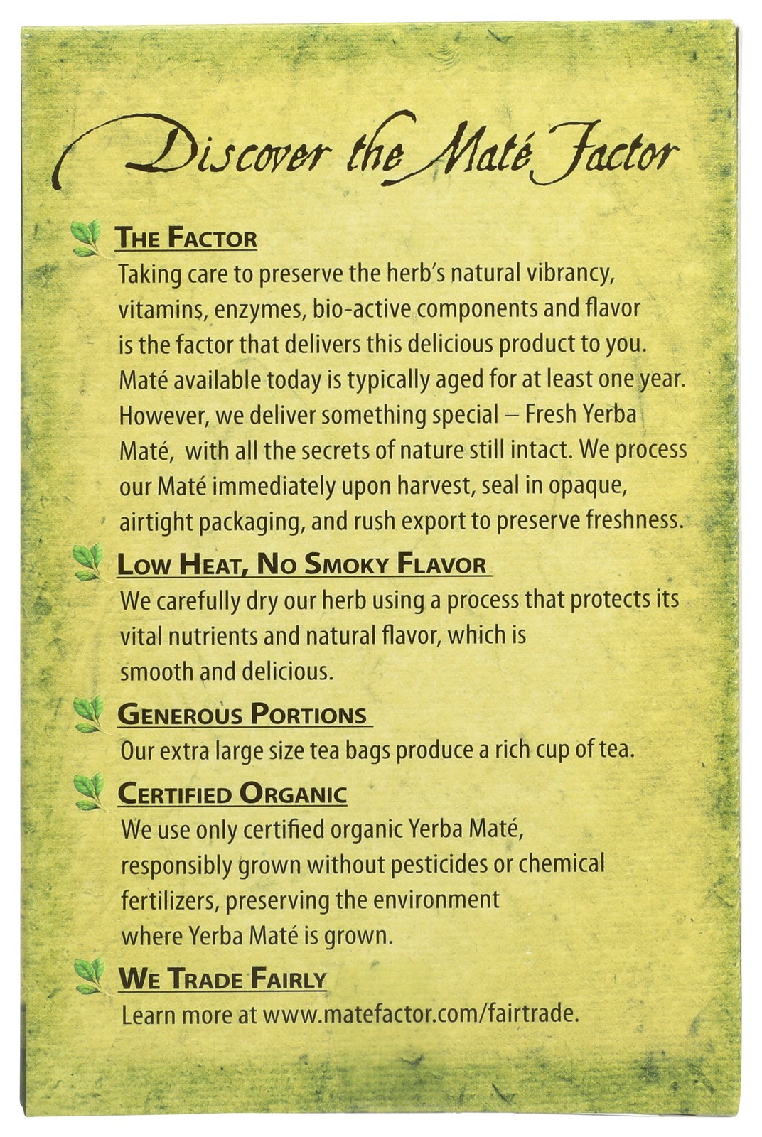 Mate Factor Fresh Green Organic Yerba Tea Bags 24 Count 3 Pack