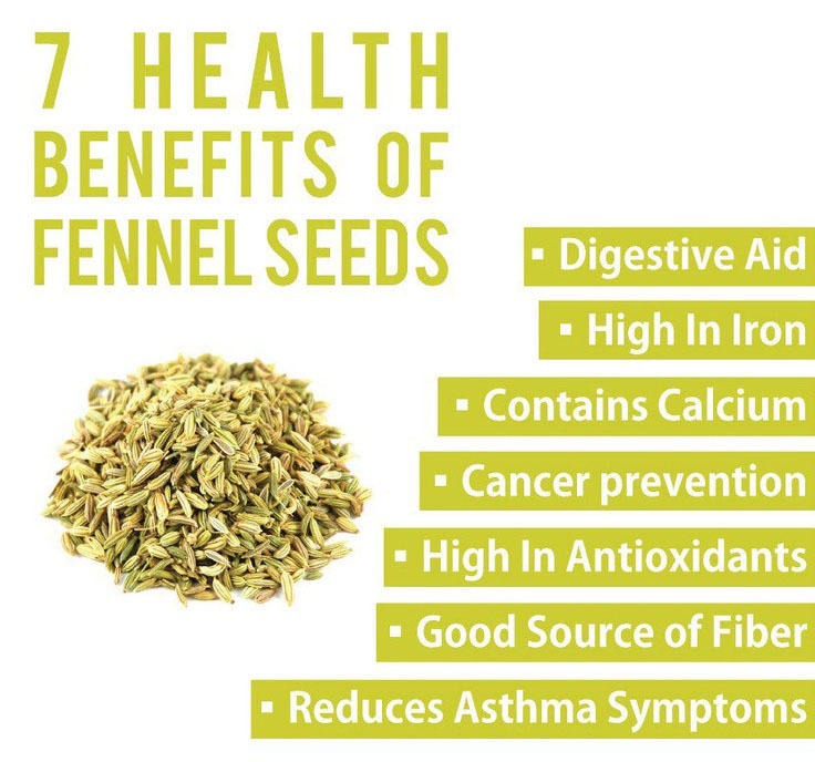60 Ginger + Fennel Digestion Tea Bags- Acid Reflux,Nausea,Stomach Upset,& More