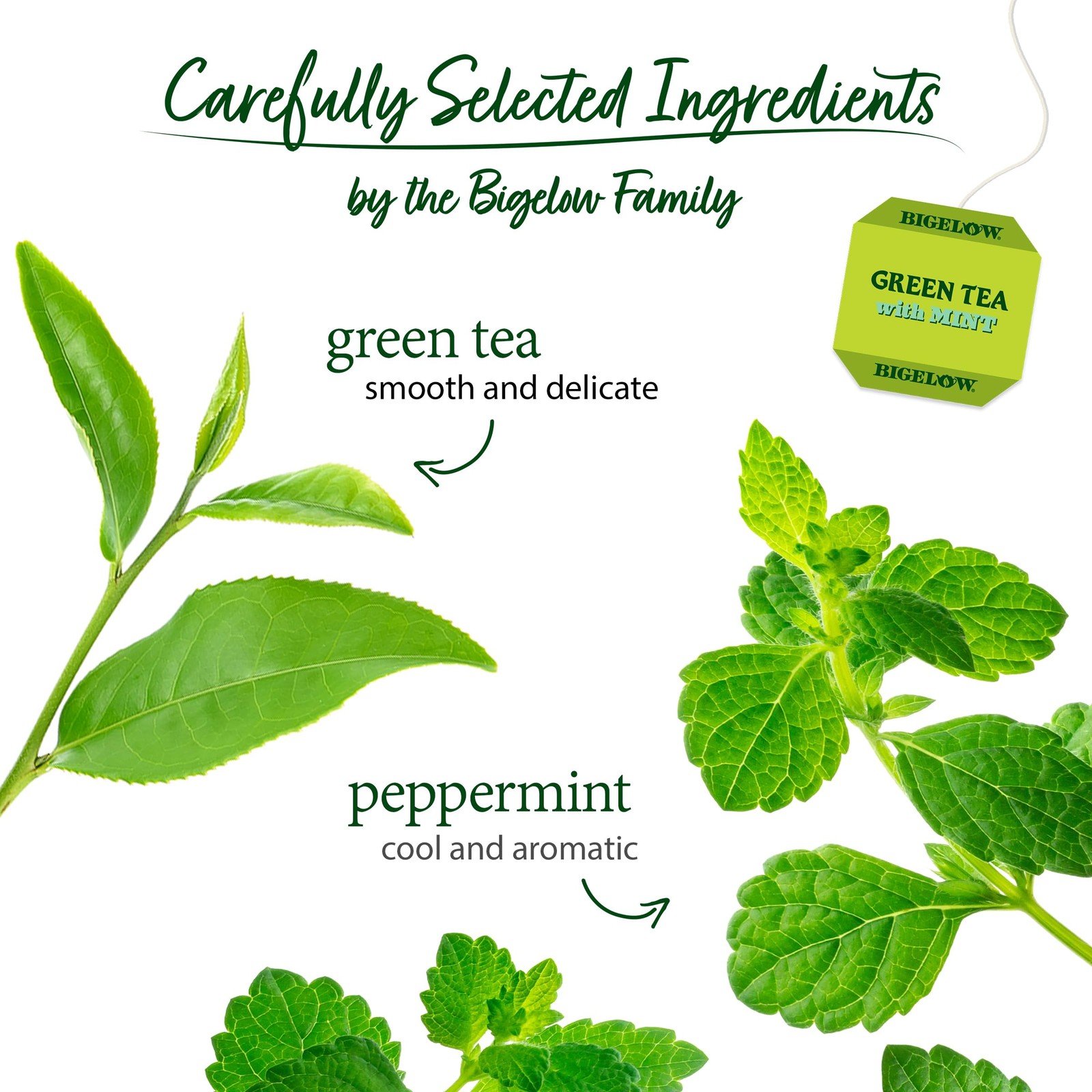 Bigelow Tea Green with Mint, 20 ct 20 Count (Pack of 1)