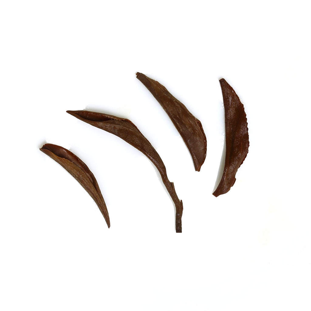 GOARTEA Supreme Wuyi Jinjunmei Eyebrow Junmee Black Tea Golden-Buds Easy-Bags