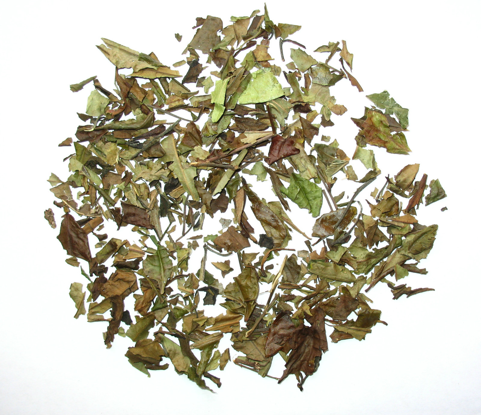 Organic Sowmee white tea loose leaf tea Wellness tea 1 LB