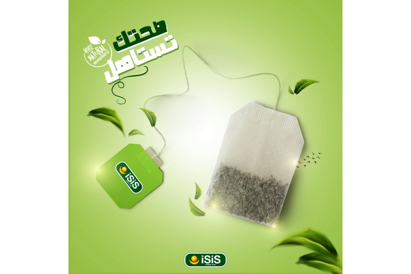 20,50,100 Bags 100% Organic Isis Natural Herbal EGYPTIAN ANISE TEA ينسون