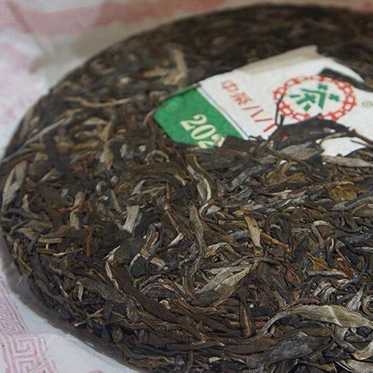 88 Green Cake Banzhang Big Tree ChinaTea Pu’er 2021 Pu-erh Tea Raw Tea 357g