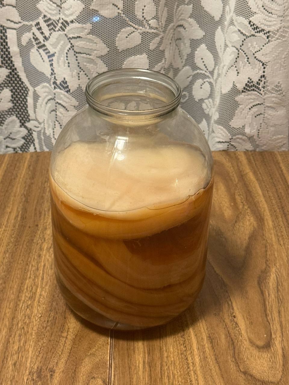 Large Live Kombucha SCOBY + Starter Tea | Tea Mushroom |Healthy Culture | Ready
