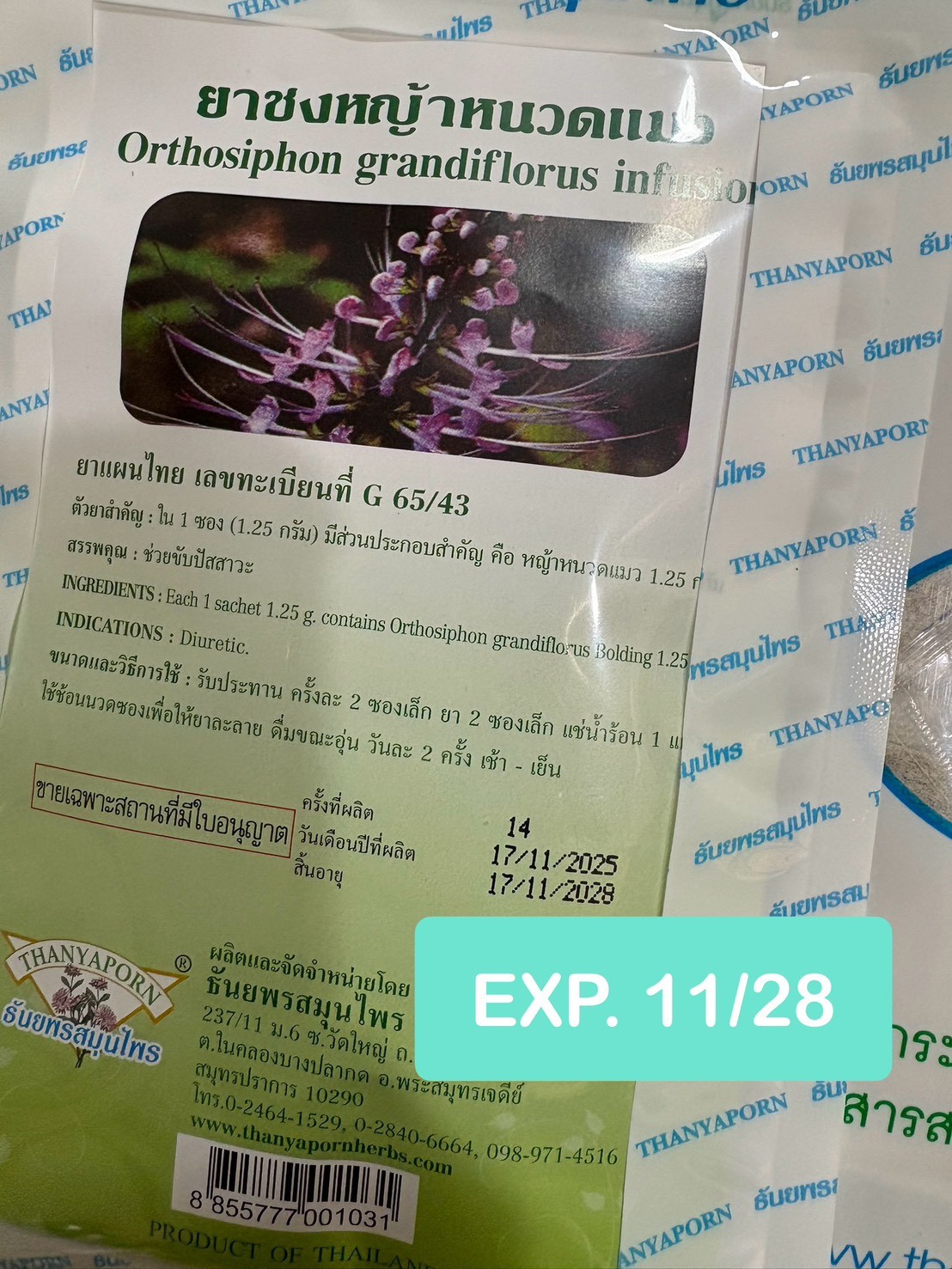 6X Java Tea Cat’s Whiskers Thai Herbal Organic Natural Orthosiphon Grandiflorus