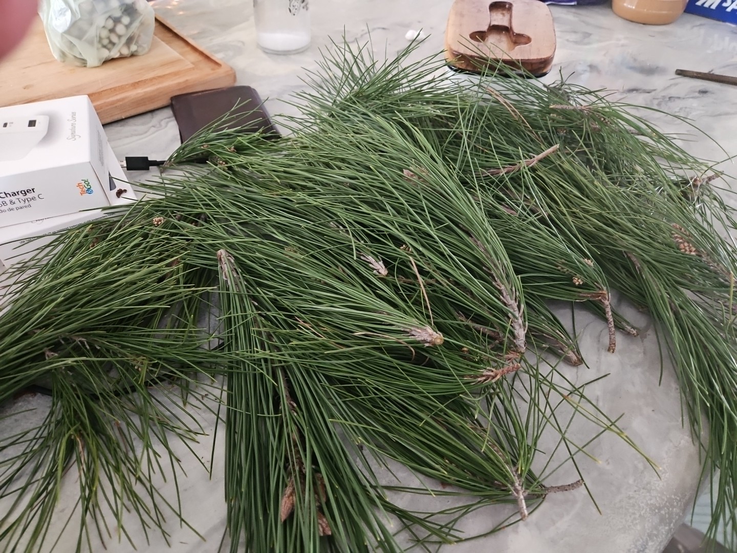 Western White Pine Fresh Tips Picked For Uktimate Freshness 1.5 Lbs