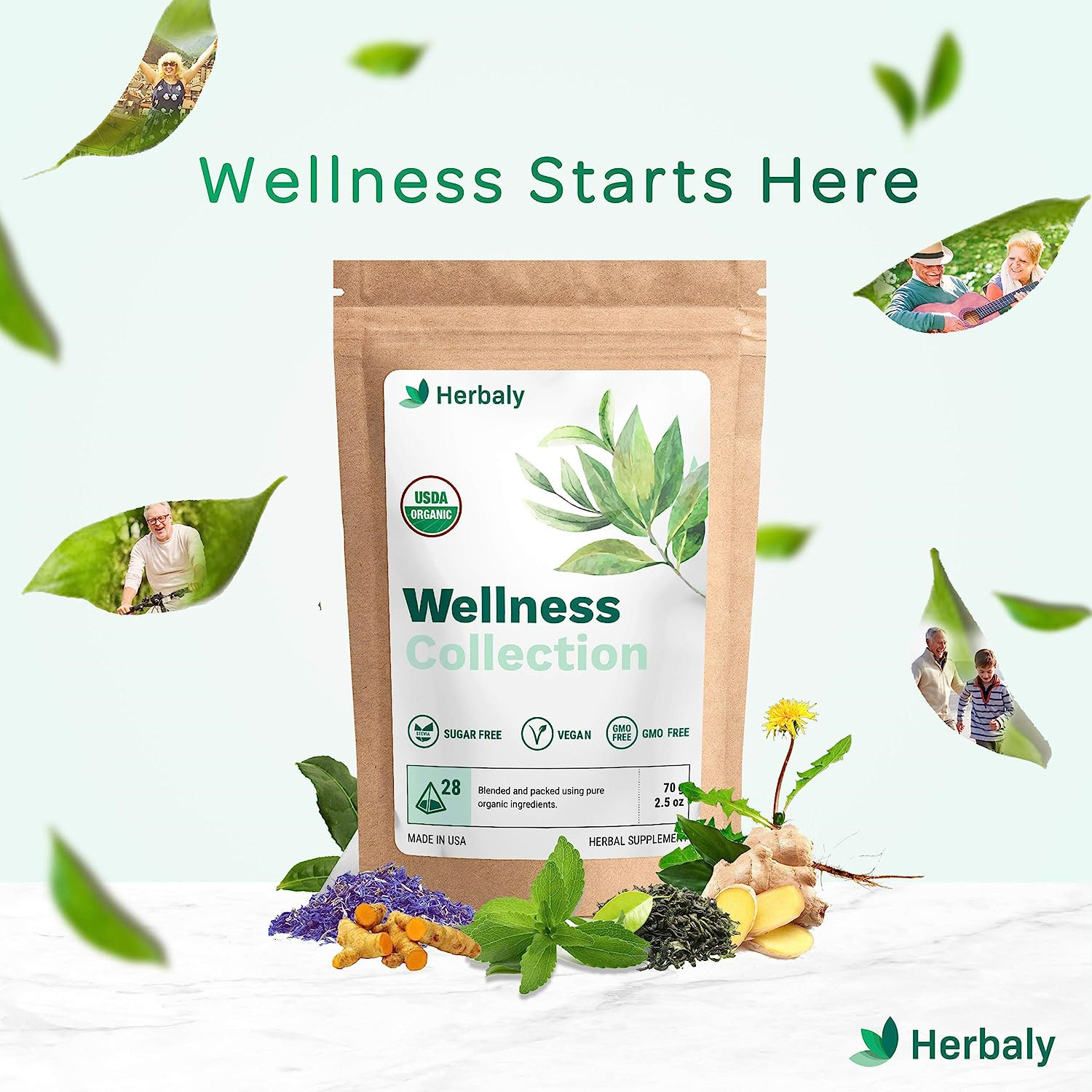 Herbaly Wellness Collection Organic Herbal Ginger Tea, 70 g, 28 Count Bag Pack 1