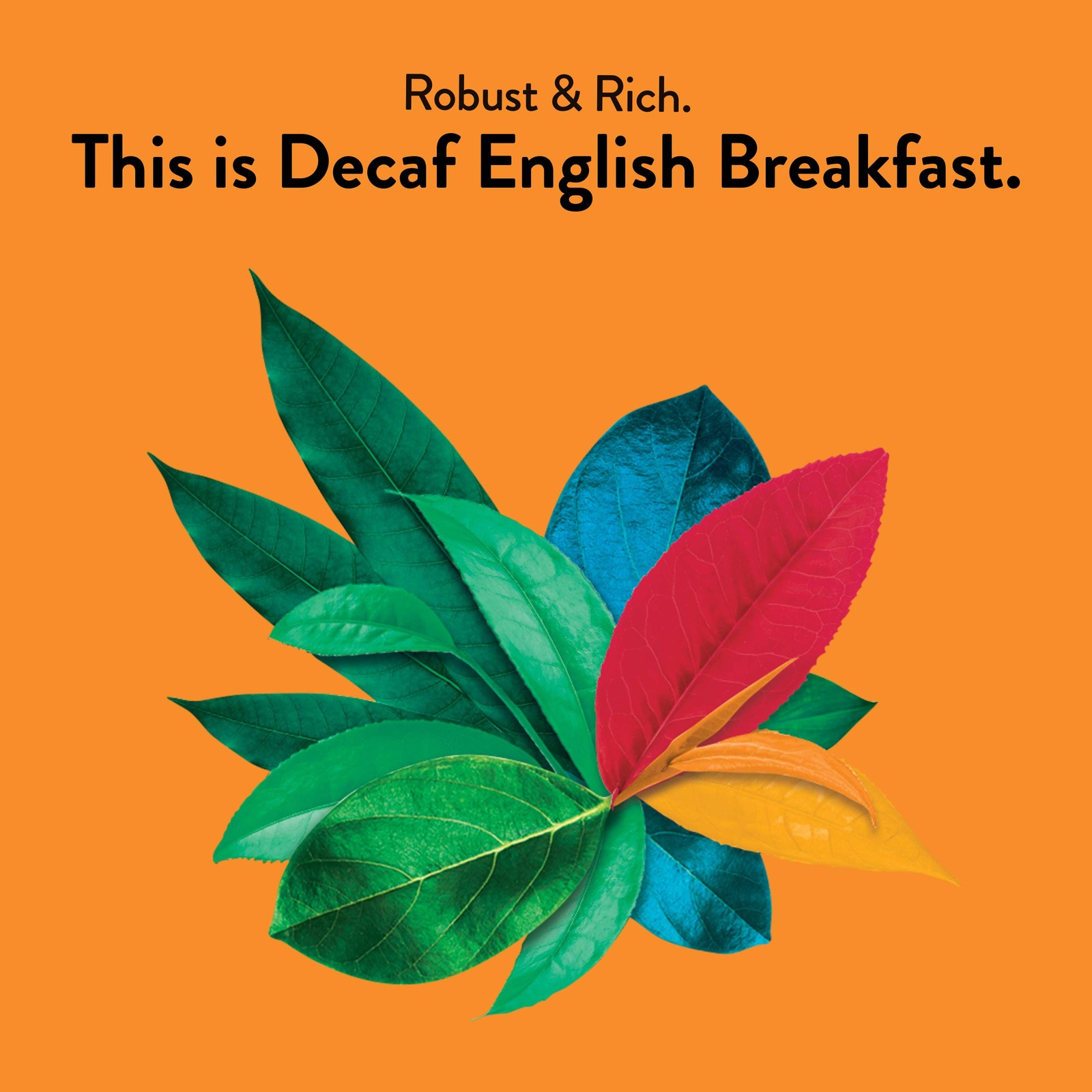 Decaffeinated English Breakfast Tea – Fair Trade – Compostable – 48 Organic B…
