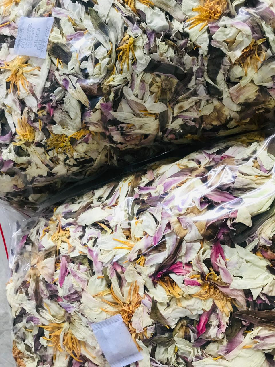 Dried White Lotus Flower Nymphaea Ampla 1 lb+ Organic Hand Picked Herb Tea