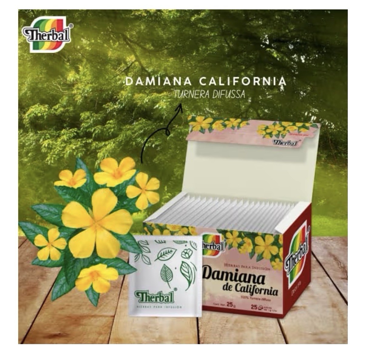 Therbal Damiana de California Herb 25 Tea Bags CaffeineFree 100% Turnera diffusa