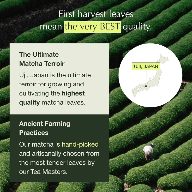 Organic Matcha Green Tea Powder Latte Grade 2.12oz Authentic Uji Japan New