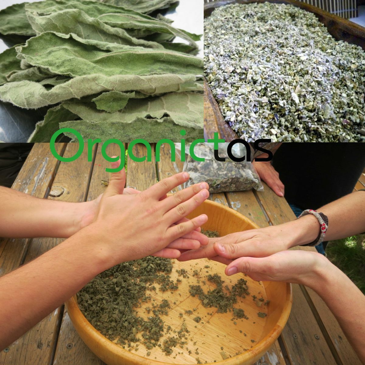 Organic MULLEIN Leaves & Flowers Cut Herbal Tea (Verbascum Thapsus) Grade A 100g