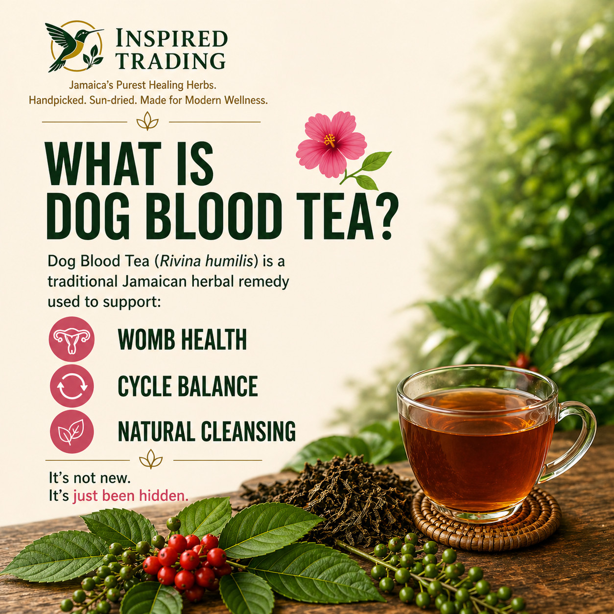 Jamaican Dog Blood Tea 2 Pack Fertility TTC Womb Wellness | Wildcrafted Portland