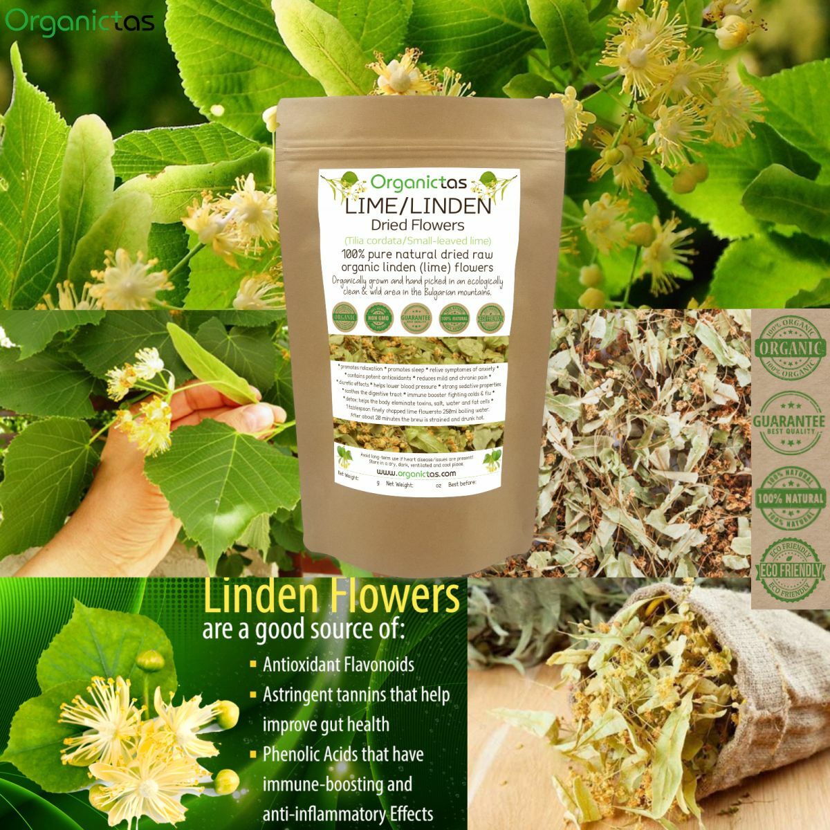Organic LINDEN FLOWER Tea 2023 Wild Harvest Lime Tree Tilia Premium Quality 100g