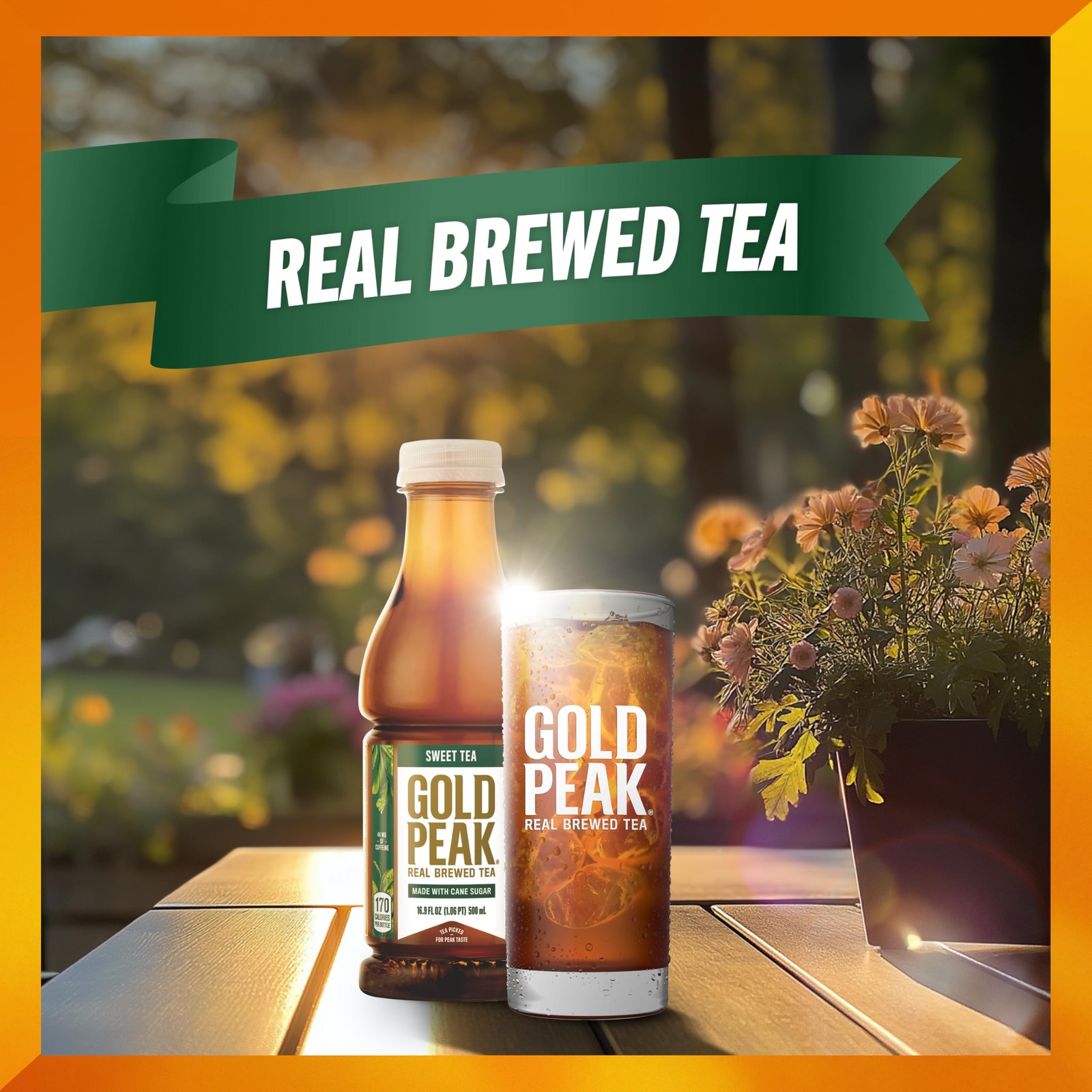 Gold Peak Tea, Sweet 16.9 fl oz, 6 Pack Fl Oz (Pack of 6)