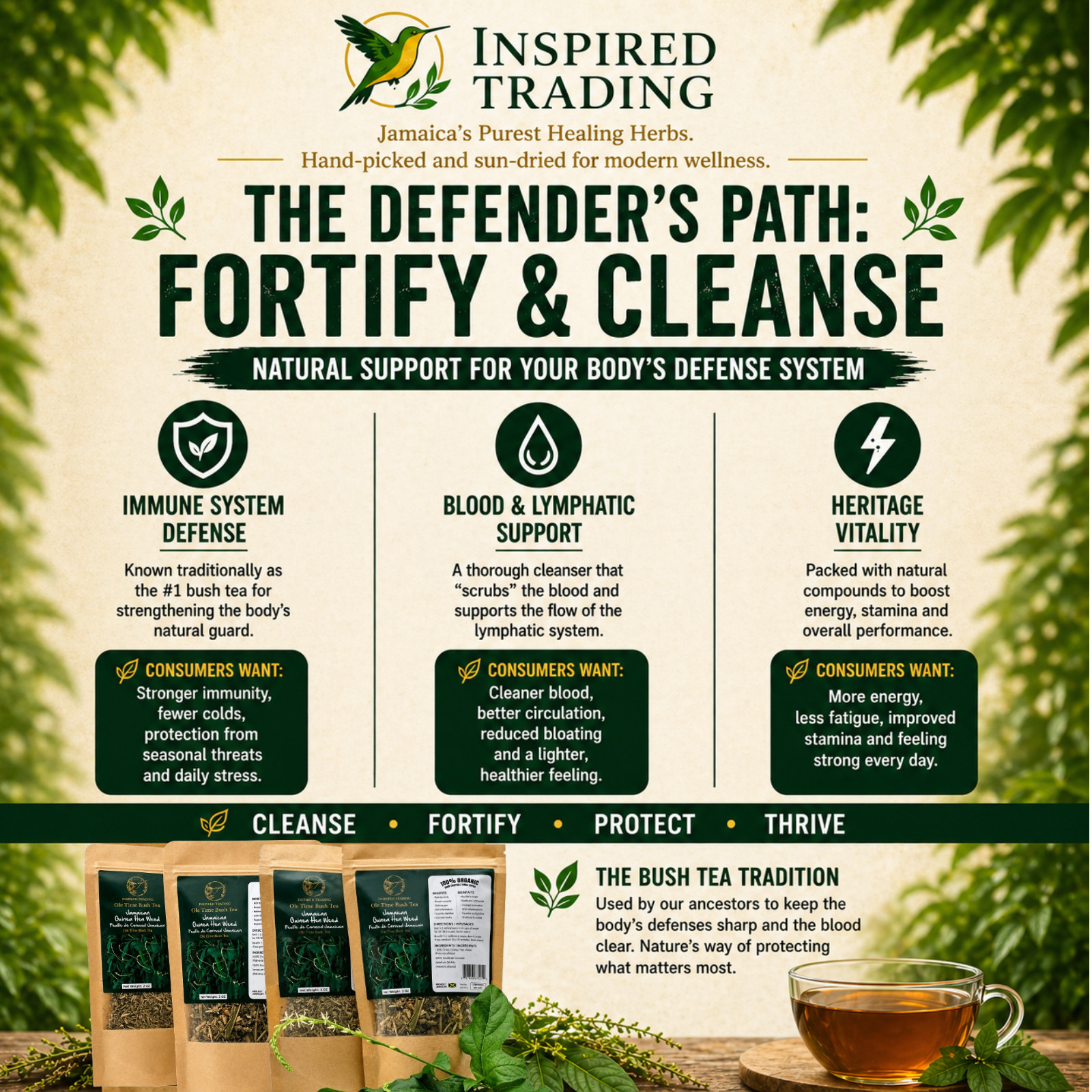 Jamaican Guinea Hen Weed Tea 2 Pack Anamu Leaves Handpicked Available in US & CA