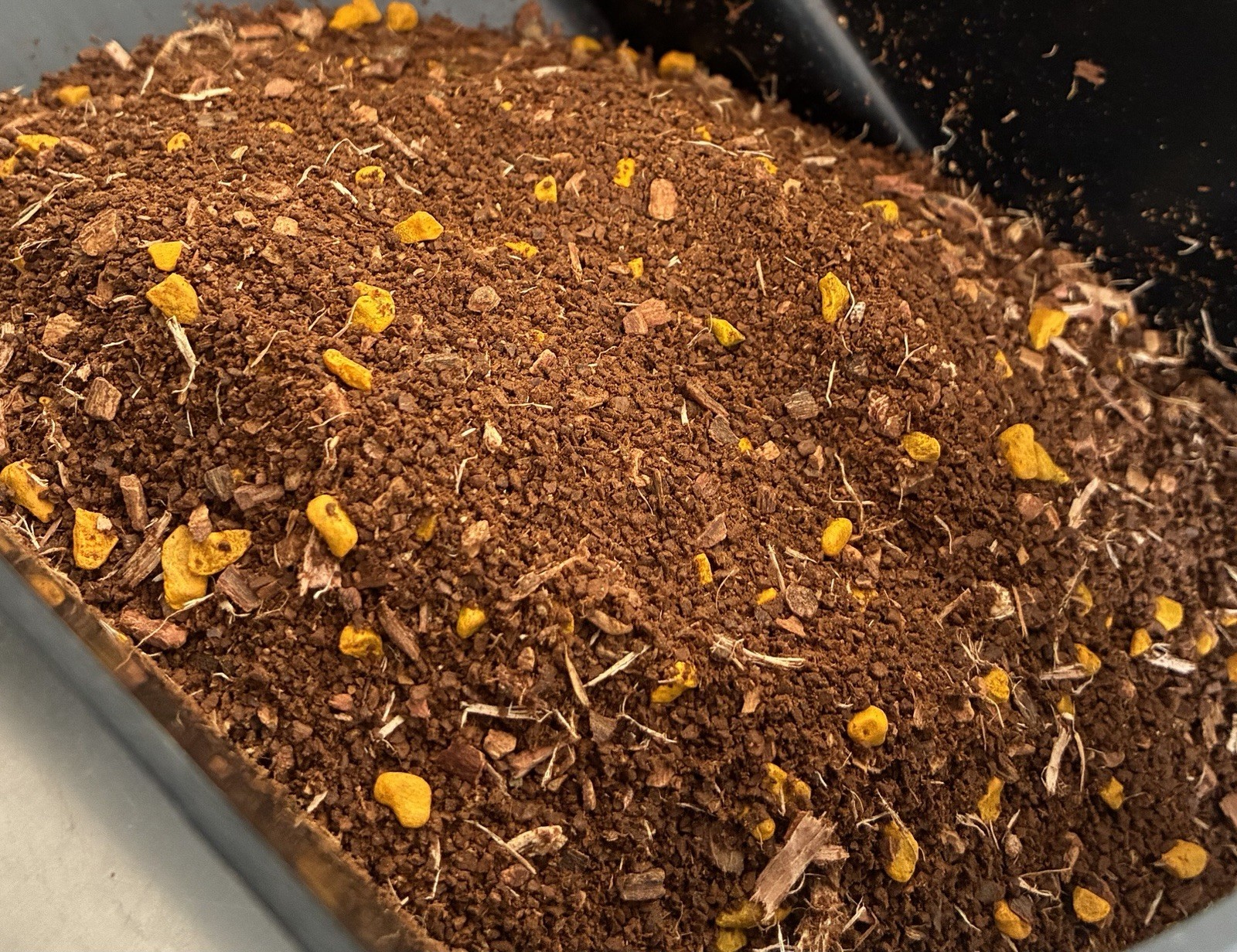 Anti inflammatory Organic Tea