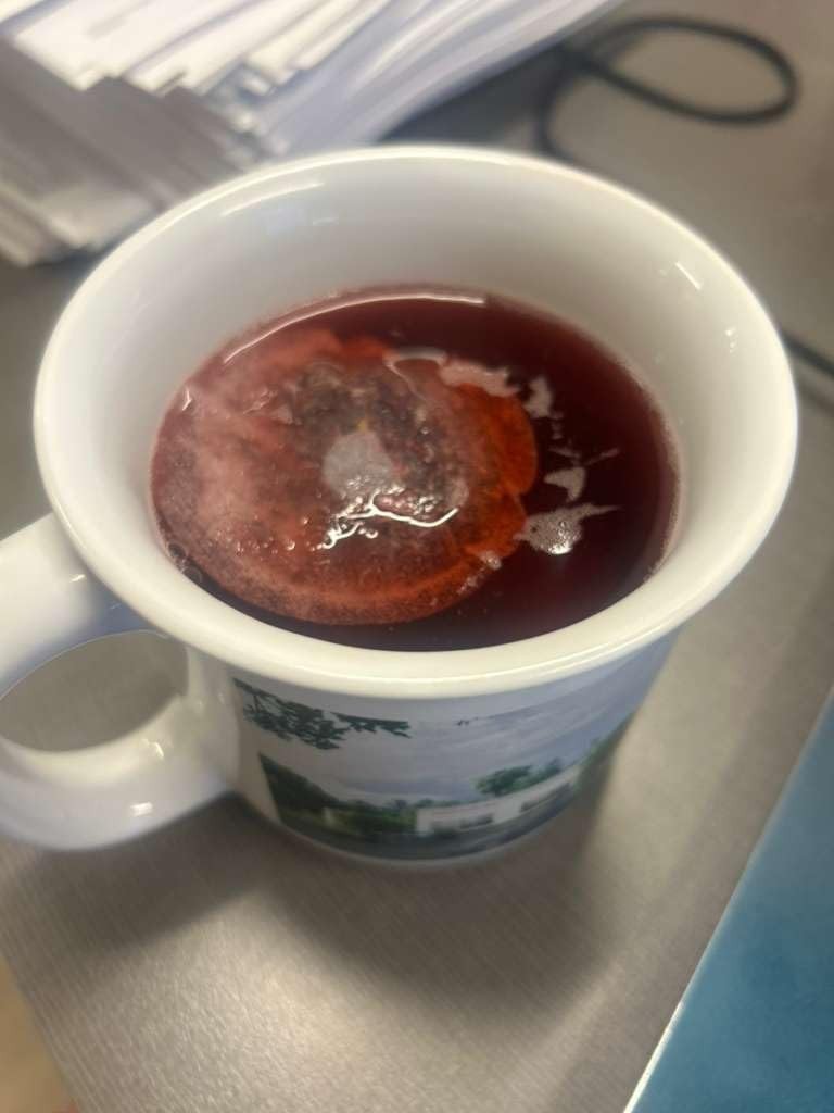 Eco-Conscious 100 Count Organic Hibiscus Tea – Sweet & Tart Caffeine-Free Bliss