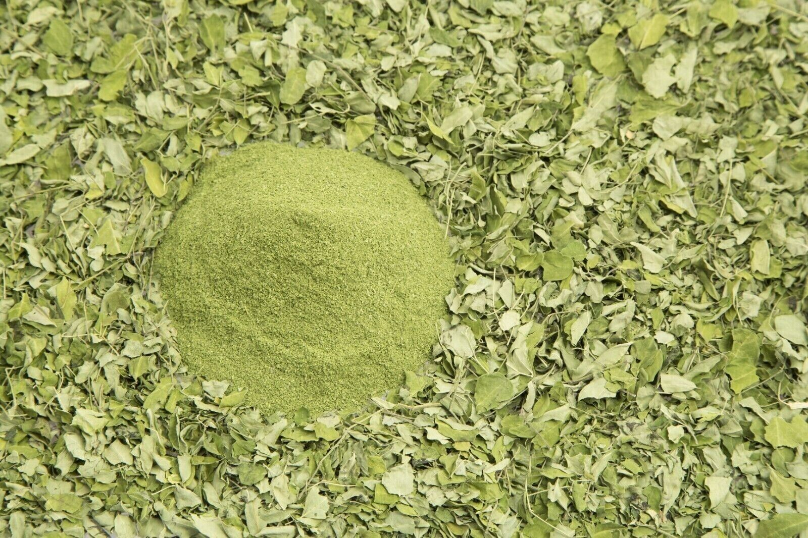 Moringa Powder 8oz. Hoja Polvo de Moringa oleifera Leaf Pure Natural Superfood