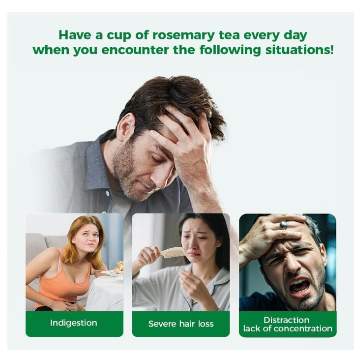 60 Count Premium Rosemary Leaf Tea Bags – 100% Pure Natural Rosemary Leaves