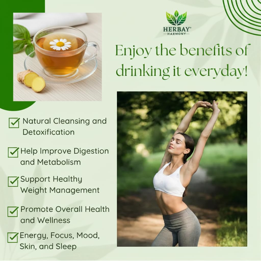 Organic Detox Tea – Caffeine-Free Digestive Blend, 24 Pack