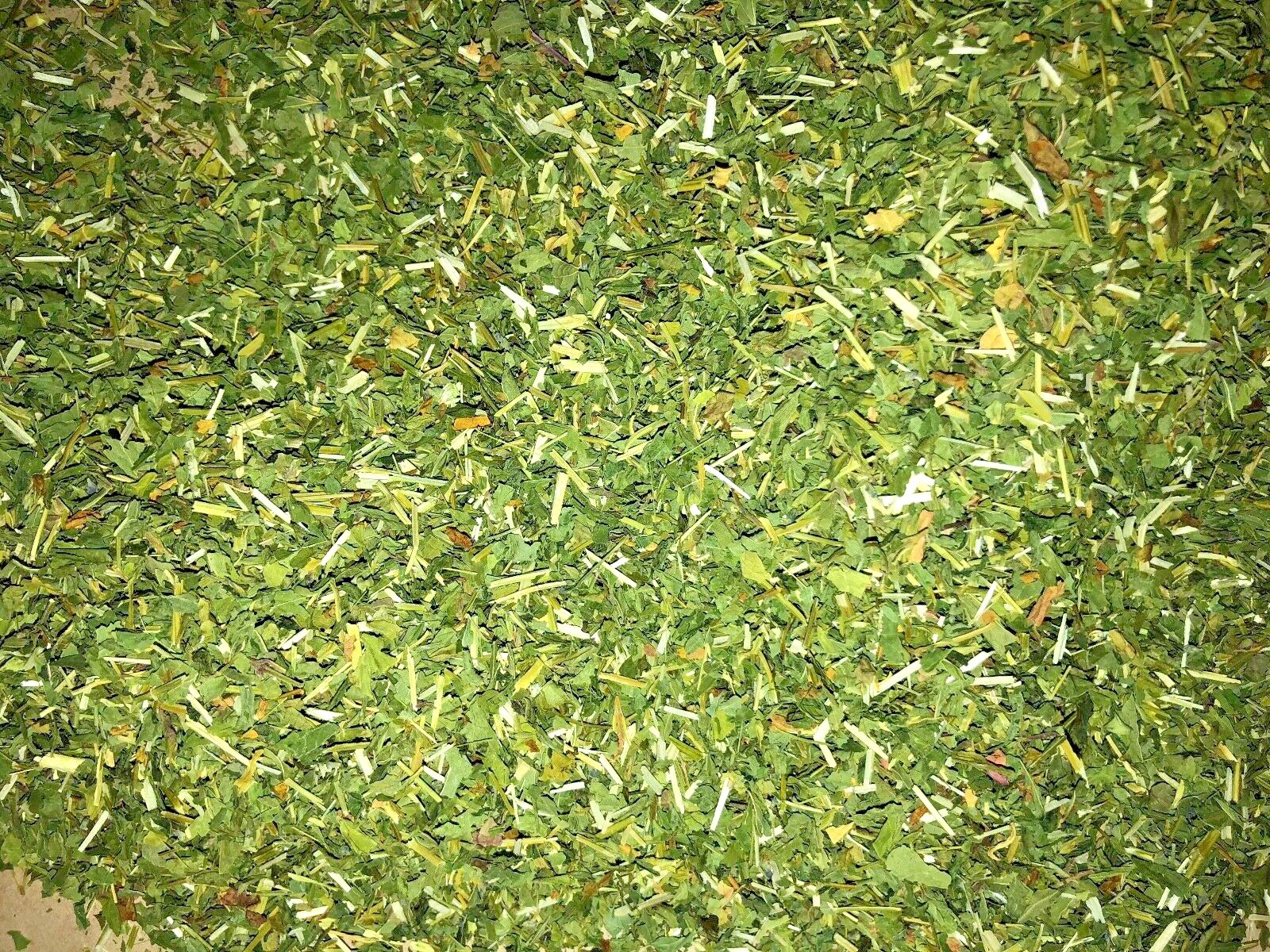 CO Skullcap Certified Organic Herb Leaf Mad Dog Weed Spice Discounters