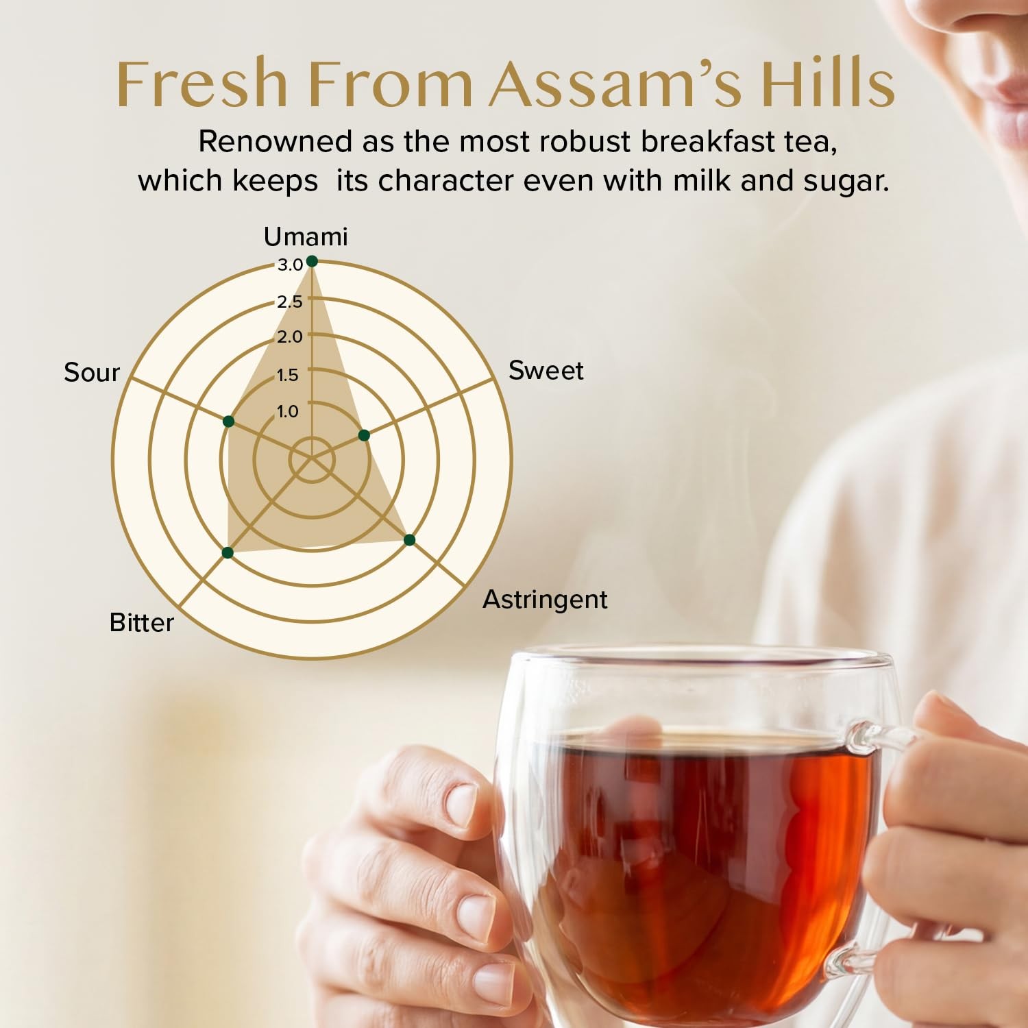 VAHDAM, Assam Black Tea Leaves 340g/12oz 170+ Servings | High Caffeine, Non G…