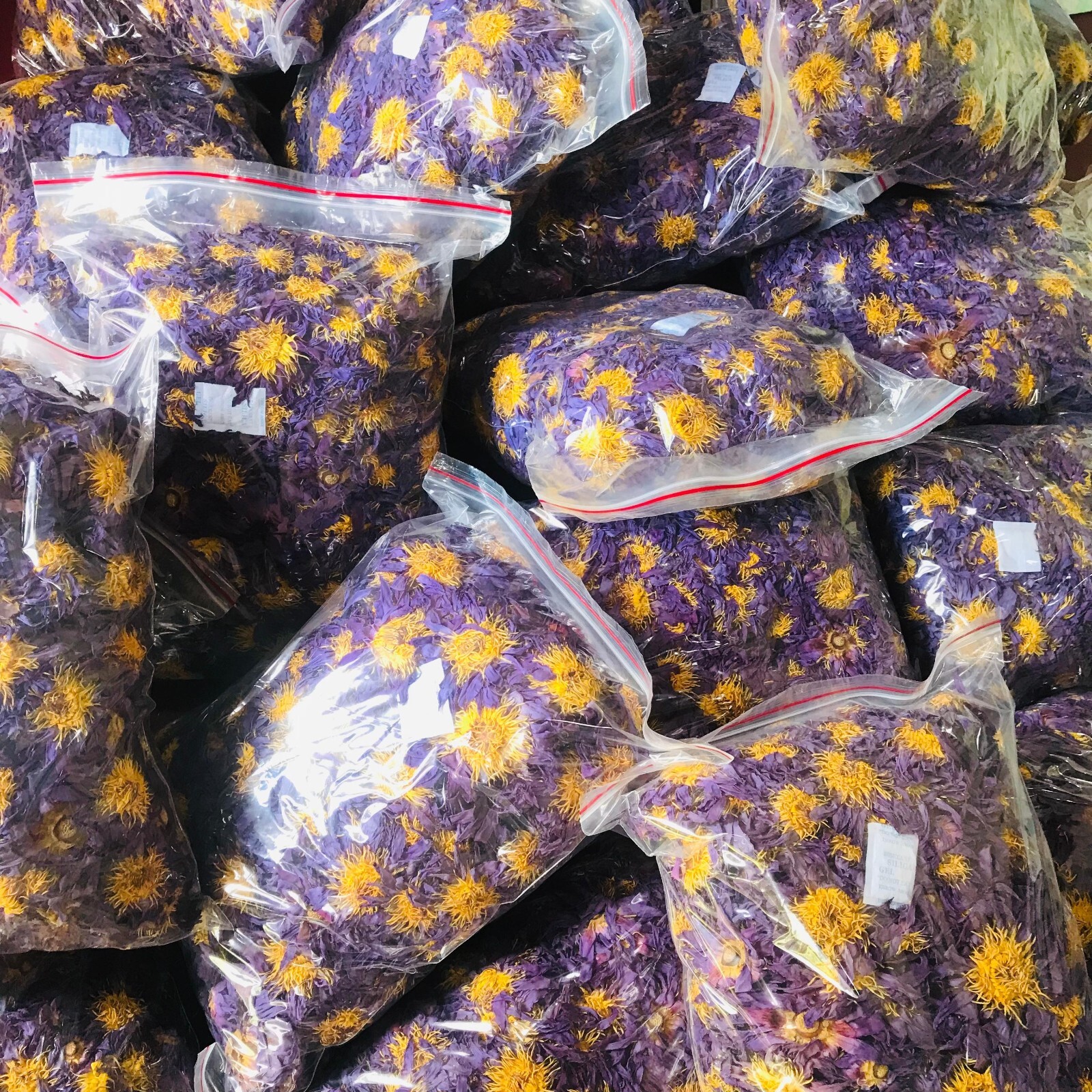 Ceylon Dried Blue Lotus Whole Flowers Nymphaea Caerulea Hand Picked Organic Tea