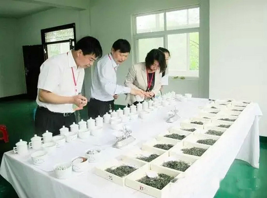 HelloYoung Yunnan Old Tree Black Tea 357g Ancient Dianhong Cake Collection Gift
