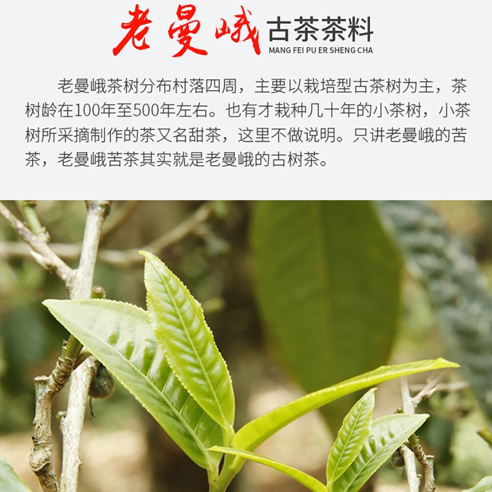 Pu-erh tea,2015,SHENG JIA YUAN,老曼峨 Old Mane,357g,cooked