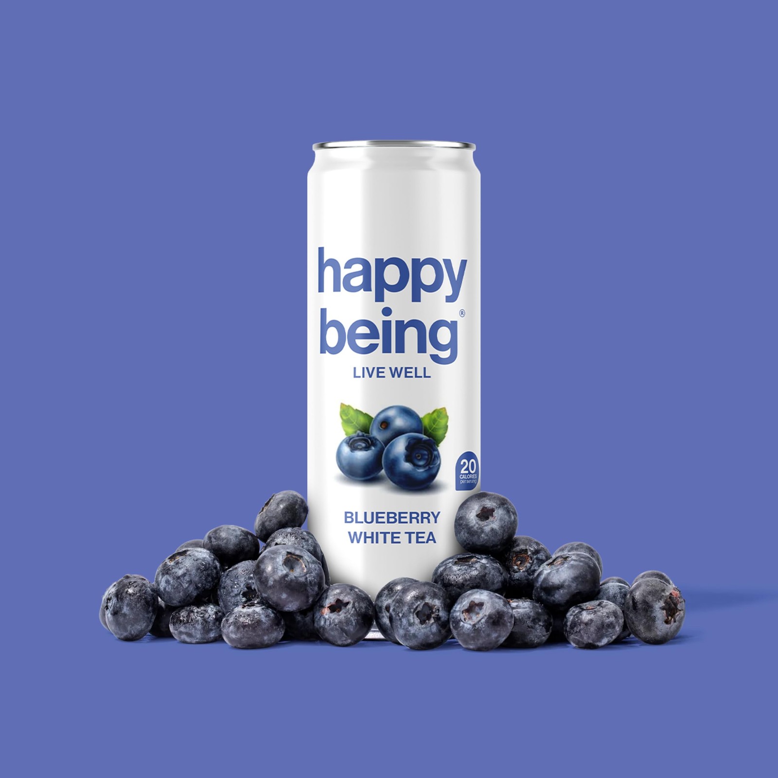 Nutrient-Rich Organic Blueberry White Tea – Infused with Turmeric, Elderberry…