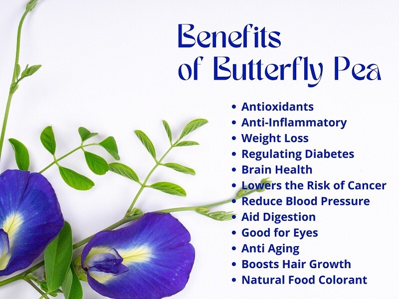 100% Natural Butterfly Pea Flower Tea Pure Organic Herbal Drink (30Pcs Tea Bags)