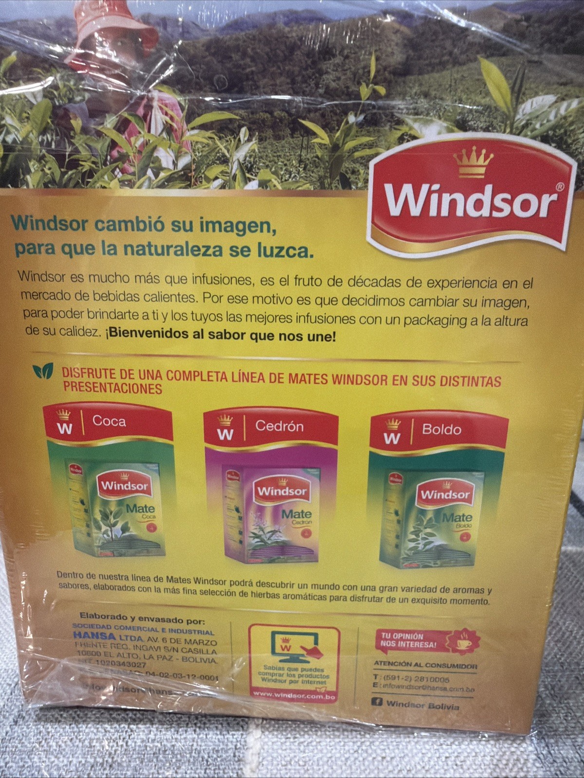 Windsor Mate de Trimate Herbal Tea 100 Bags