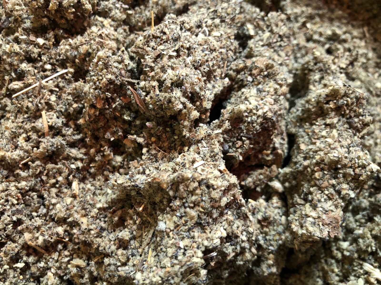 Mullein Leaf wild crafted Lung cut herb – oz lb 1 2 4 5 8 Pound Ounce