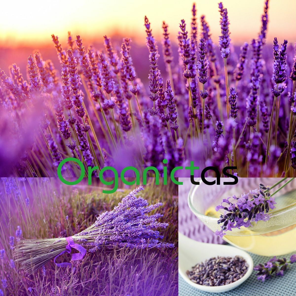 100g Organic LAVENDER FLOWER Herbal Tea Natural Scent & Aroma Premium Quality