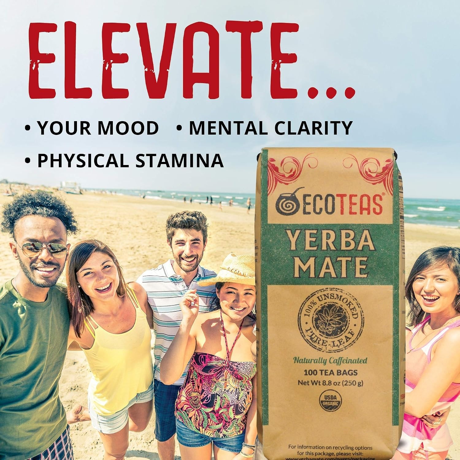 Organic Yerba Mate Tea Bags – Natural Energy & Detox – 300 Count